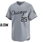 Adam LaRoche Youth Chicago White Sox Gray Limited Road Jersey