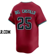Adrian Del Castillo Men's Arizona Diamondbacks Red Limited Alternate Jersey