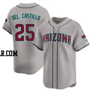 Adrian Del Castillo Youth Arizona Diamondbacks Gray Limited Alternate Jersey