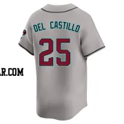 Adrian Del Castillo Youth Arizona Diamondbacks Gray Limited Alternate Jersey
