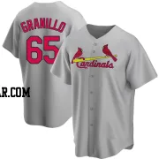 Andre Granillo Youth St. Louis Cardinals Gray Replica Road Jersey