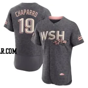 Andres Chaparro Men's Washington Nationals Gray Authentic 2022 City Connect Jersey