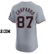 Andres Chaparro Men's Washington Nationals Gray Elite Road Jersey