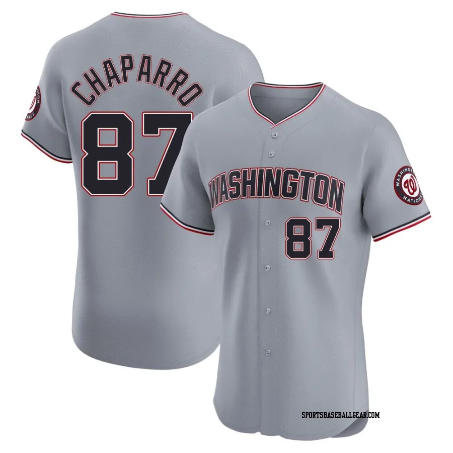Andres Chaparro Men's Washington Nationals Gray Elite Road Jersey