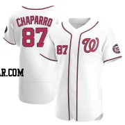 Andres Chaparro Men's Washington Nationals White Authentic Home Jersey