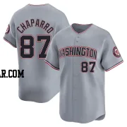 Andres Chaparro Youth Washington Nationals Gray Limited Road Jersey