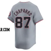 Andres Chaparro Youth Washington Nationals Gray Limited Road Jersey