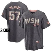 Andres Machado Men's Washington Nationals Gray Replica 2022 City Connect Jersey