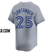 Anthony Santander Youth Toronto Blue Jays Gray Limited Away Jersey