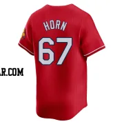 Bailey Horn Youth St. Louis Cardinals Red Limited 2024 City Connect Jersey
