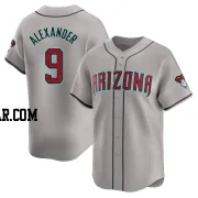 Blaze Alexander Men's Arizona Diamondbacks Gray Limited Away Jersey