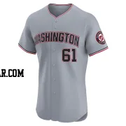 Brad Lord Men's Washington Nationals Gray Elite Road Jersey