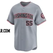 Brady House Youth Washington Nationals Gray Limited Road Jersey