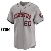 Brandon Walter Men's Houston Astros Gray Limited Away Jersey