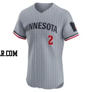 Brooks Lee Men's Minnesota Twins Gray Elite Road Jersey