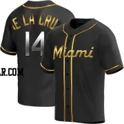 Bryan De La Cruz Youth Miami Marlins Black Golden Replica Alternate Jersey