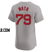 Bryan Mata Men's Boston Red Sox Gray Elite Road Jersey