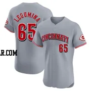 Casey Legumina Men's Cincinnati Reds Gray Elite Road Jersey