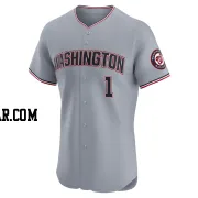 Cesar Hernandez Men's Washington Nationals Gray Elite Road Jersey