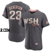 Corey Dickerson Men's Washington Nationals Gray Authentic 2022 City Connect Jersey