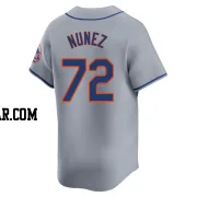 Dedniel Nunez Youth New York Mets Gray Limited Away Jersey