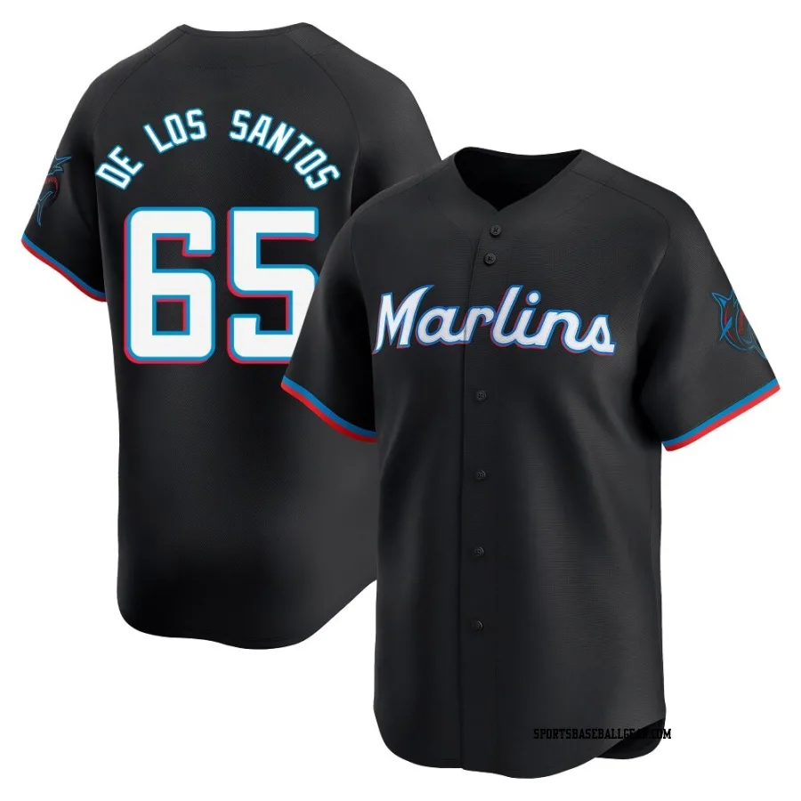 Deyvison De Los Santos Youth Miami Marlins Black Limited Alternate Jersey