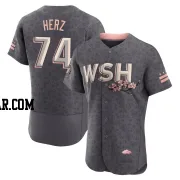 DJ Herz Men's Washington Nationals Gray Authentic 2022 City Connect Jersey