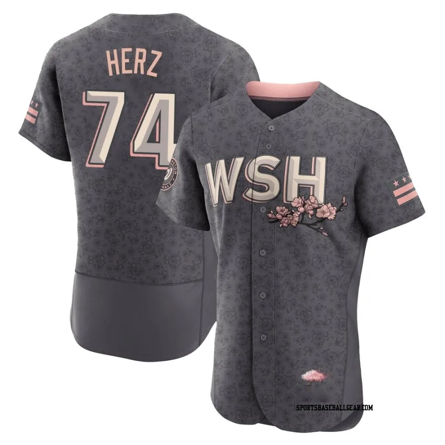 DJ Herz Men's Washington Nationals Gray Authentic 2022 City Connect Jersey