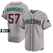 Eduardo Rodriguez Youth Arizona Diamondbacks Gray Limited Alternate Jersey