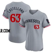 Eiberson Castellano Men's Minnesota Twins Gray Elite Road Jersey