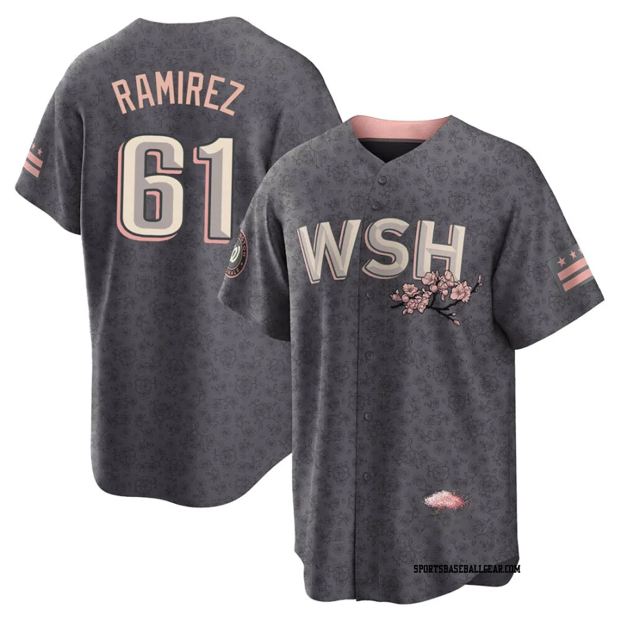 Erasmo Ramirez Youth Washington Nationals Gray Replica 2022 City Connect Jersey
