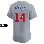 Ernie Banks Men's Chicago Cubs Gray Elite Road Jersey