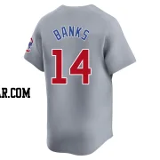Ernie Banks Youth Chicago Cubs Gray Limited Road Jersey