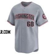 Evan Reifert Youth Washington Nationals Gray Limited Road Jersey