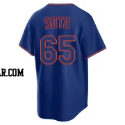 Gregory Soto Youth New York Mets Royal Replica Alternate 2 Jersey