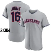 Jakob Junis Men's Cleveland Guardians Gray Authentic Road Jersey