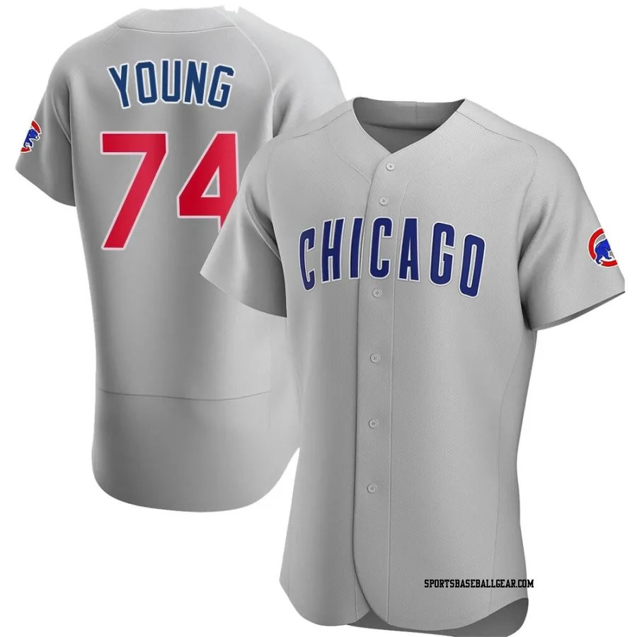 Jared Young Men's Chicago Cubs Gray Authentic Road Jersey