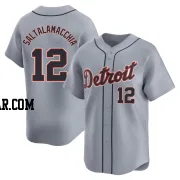 Jarrod Saltalamacchia Men's Detroit Tigers Gray Limited Road Jersey
