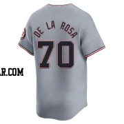 Jeremy De La Rosa Youth Washington Nationals Gray Limited Road Jersey