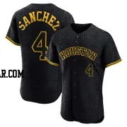 Jesus Sanchez Men's Houston Astros Black Authentic Snake Skin City Jersey