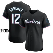 Jesus Sanchez Men's Miami Marlins Black Elite Alternate Vapor Premier Jersey