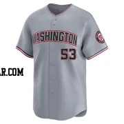 Joe La Sorsa Youth Washington Nationals Gray Limited Road Jersey