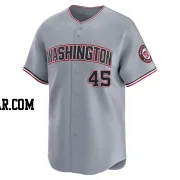 Joey Meneses Youth Washington Nationals Gray Limited Road Jersey