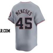 Joey Meneses Youth Washington Nationals Gray Limited Road Jersey