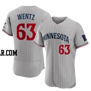 Joey Wentz Men's Minnesota Twins Gray Authentic Road Jersey