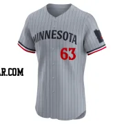 Joey Wentz Men's Minnesota Twins Gray Elite Road Jersey