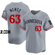 Joey Wentz Youth Minnesota Twins Gray Limited Road Jersey