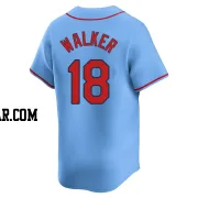 Jordan Walker Youth St. Louis Cardinals Light Blue Limited Alternate Jersey
