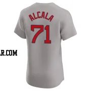 Jorge Alcala Men's Boston Red Sox Gray Elite Road Jersey