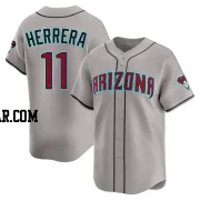 Jose Herrera Youth Arizona Diamondbacks Gray Limited Alternate Jersey